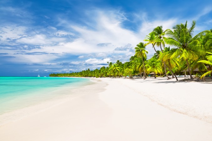 Palm-lined white-sand beach and turquoise water in the Dominican Republic