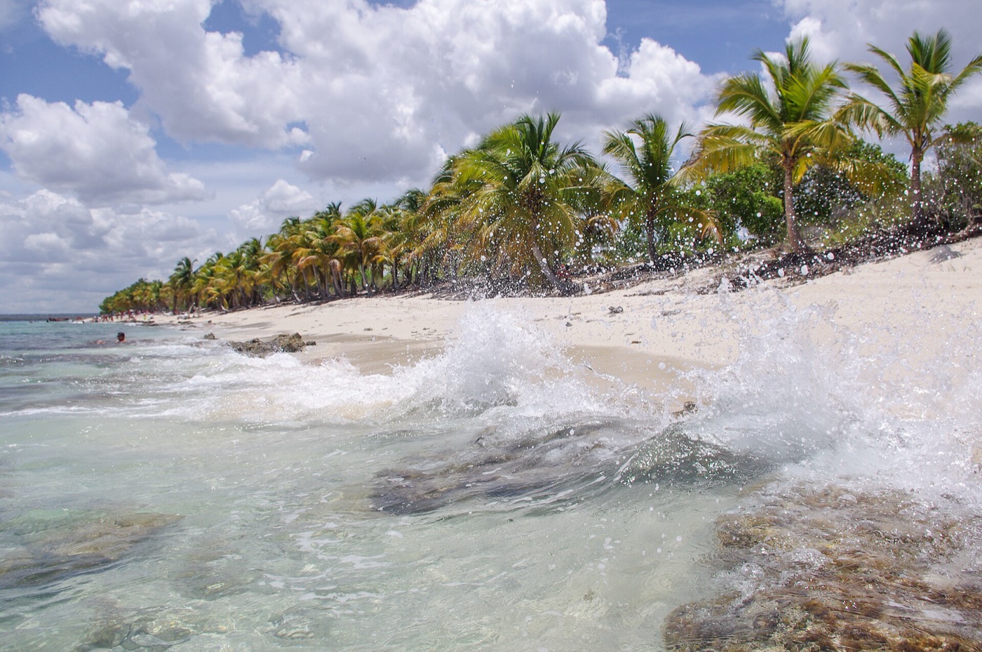 Isla Catalina beach
