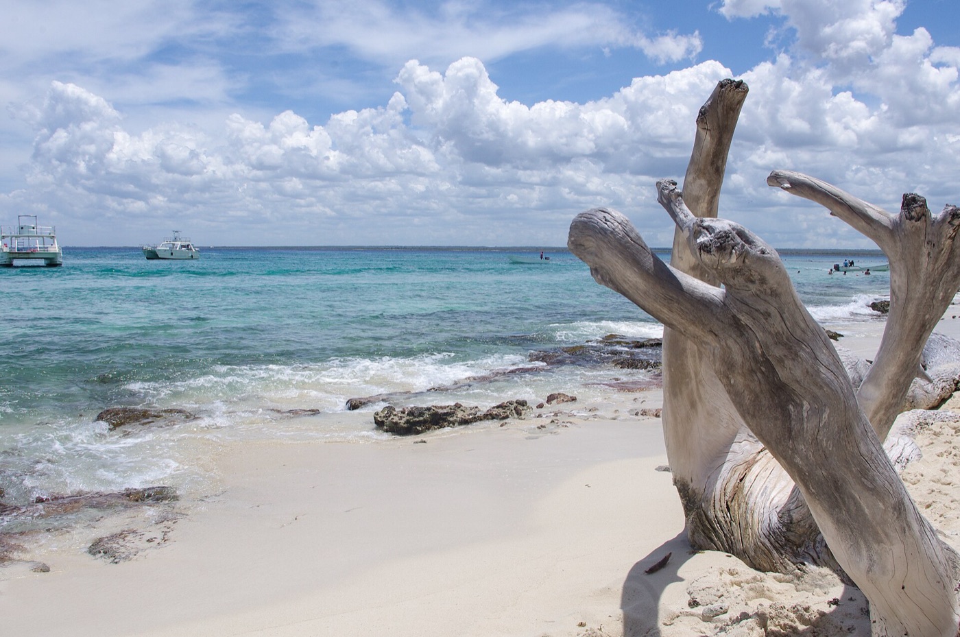Isla Catalina beach