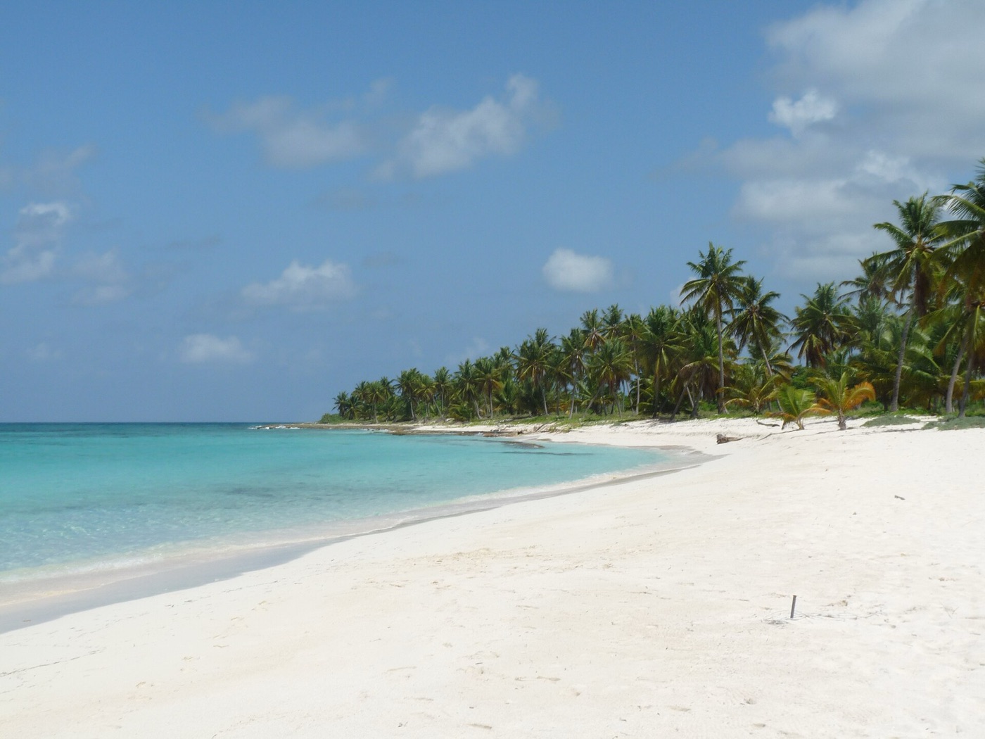 Isla Saona beach