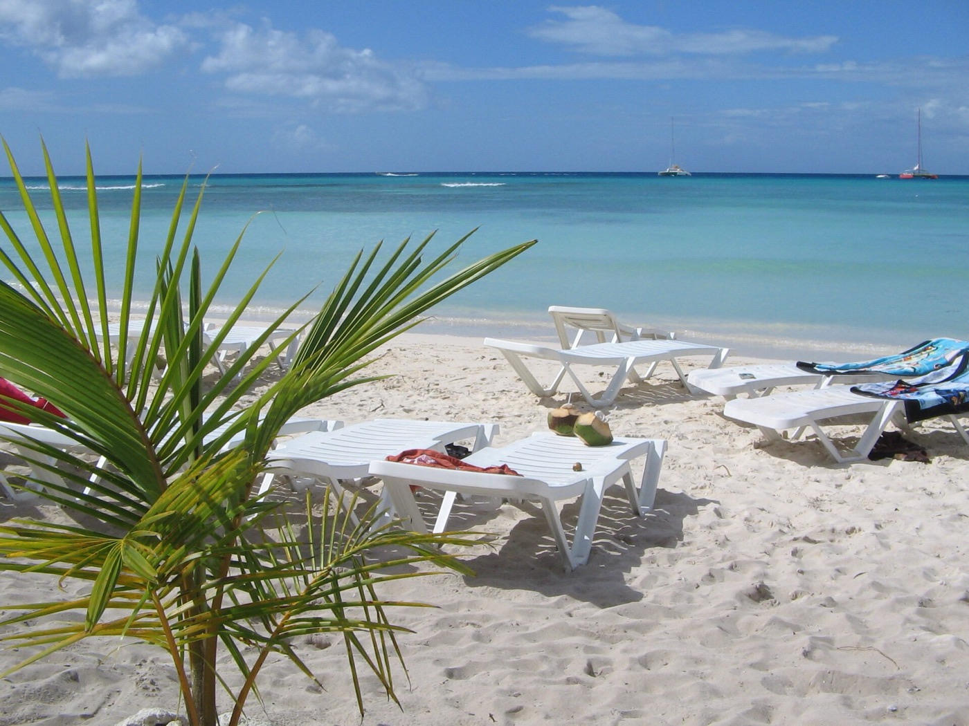Isla Saona beach